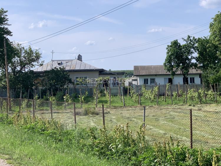 Casă + teren 2600 mp- Com. Negri- scop rezidențial sau industrial - 3