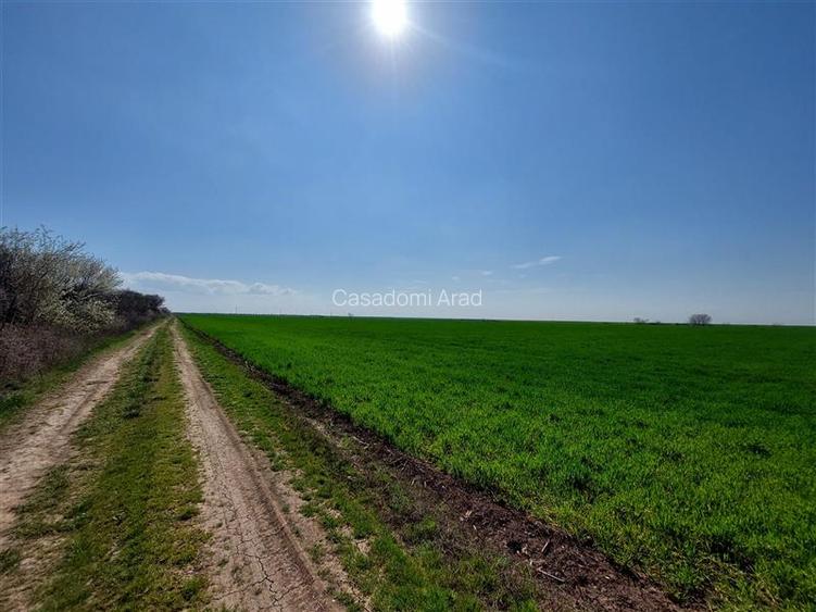 Teren arabil spre Zadareni - 2