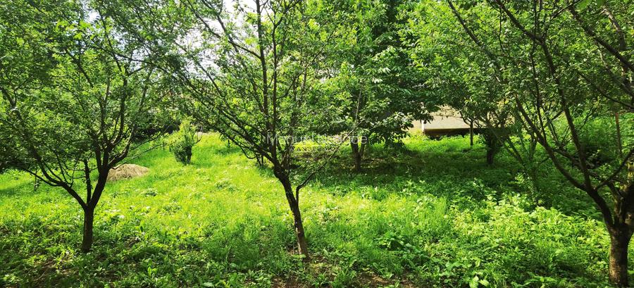 Manuel recomanda : Vila superba in Cornu de Jos 295mp , teren 1360mp - 35