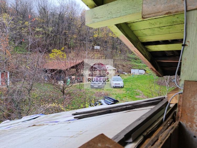 Proprietate langa Dunare – 3000 mp, priveliste si potential business - 41