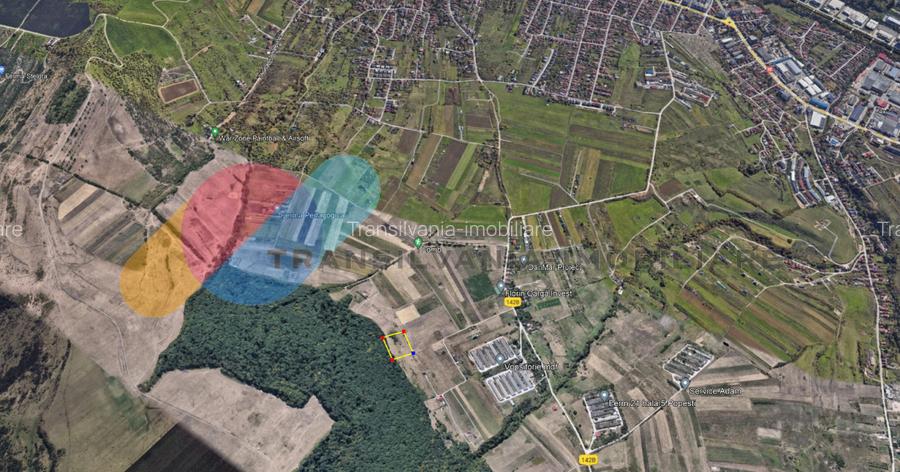 Teren intravilan cu view 2000 mp+300 mp de padure in Lomb - 2