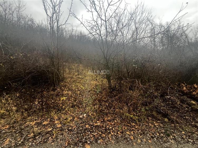 Teren intravilan 653 mp in Boldesti-Scaeni. - 12