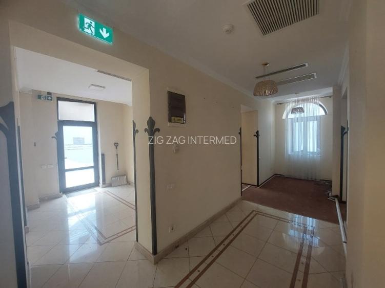 Ultracentral - cladire emblematica D+P+1+M, 430 mp., curte 200  mp. - 8