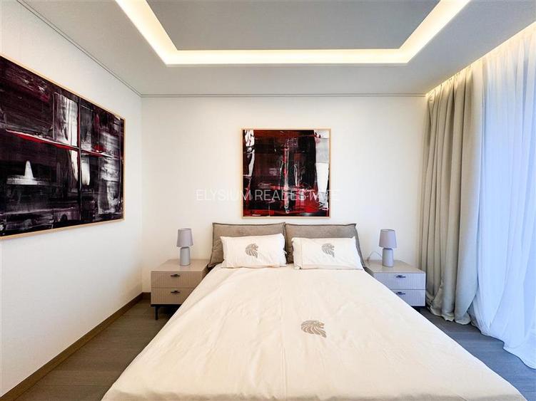 Apartament de inchiriat 5 camere Kiseleff - 27