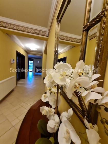 Poziție de top în Dumbravita - 14