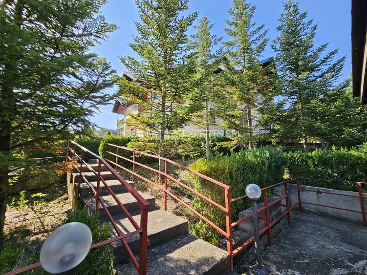 Vila superba de vanzare in Vintila Voda, Buzau D+P+1 si anexe - 8