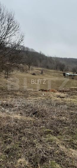 Casa batraneasca cu teren de 6700 mp intravilan, Ipatele - 2