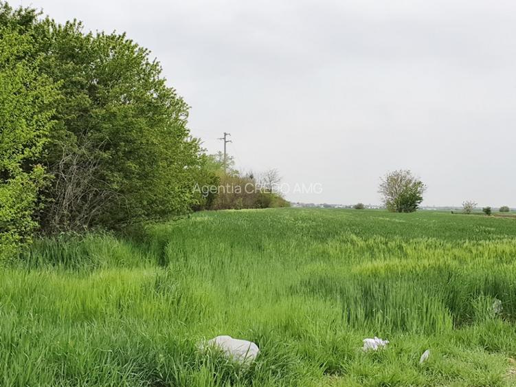 Vidra, Sat Cretesti, vanzare teren, comision 0 - 3