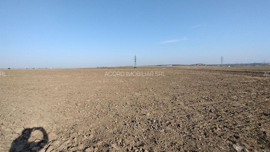 Teren pentru Parc Logistic, hale - Ovidiu - 6