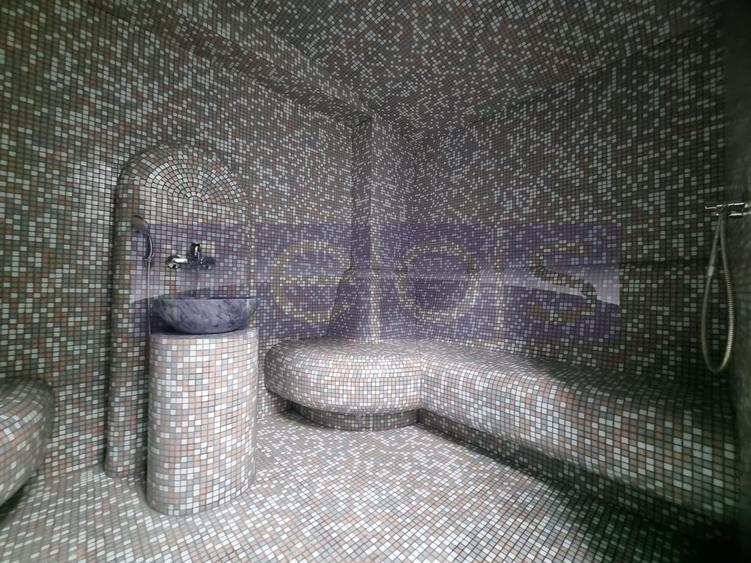 INCHIRIERE SPATIU COMERCIAL-2 VILE | ZONA MOGOSOAIA - 18