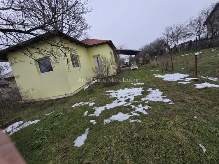 Casa cartojani giurgiu gaze apa centrala, direct proprietar - 6