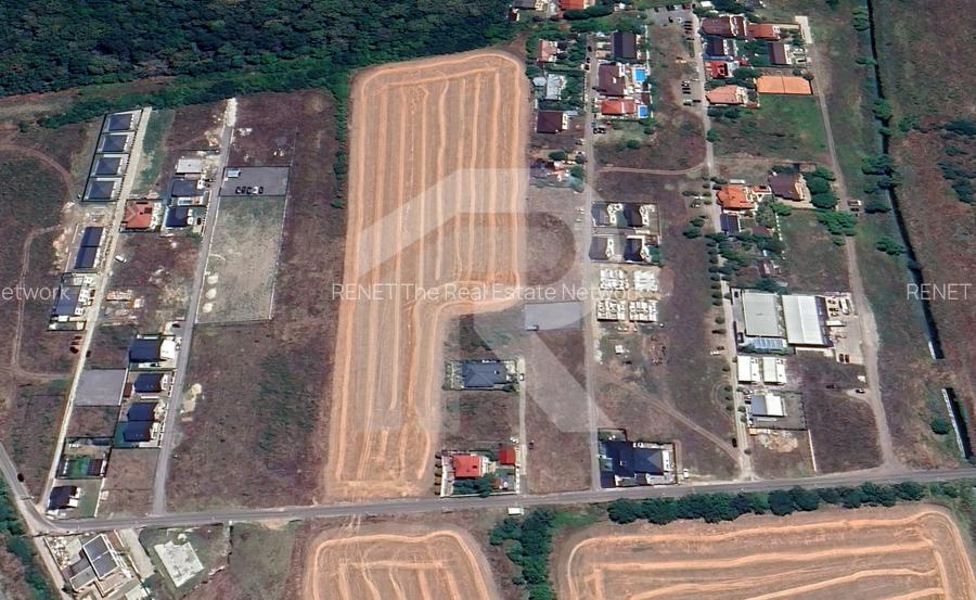 LOTURI PENTRU CASA - 420mp + 89mp drum - Otopeni, Ilfov - IN CURS DE AUTORIZARE - 5