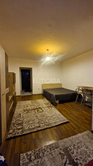 Apartament cu 1 camera, zona Tatarasi - 5