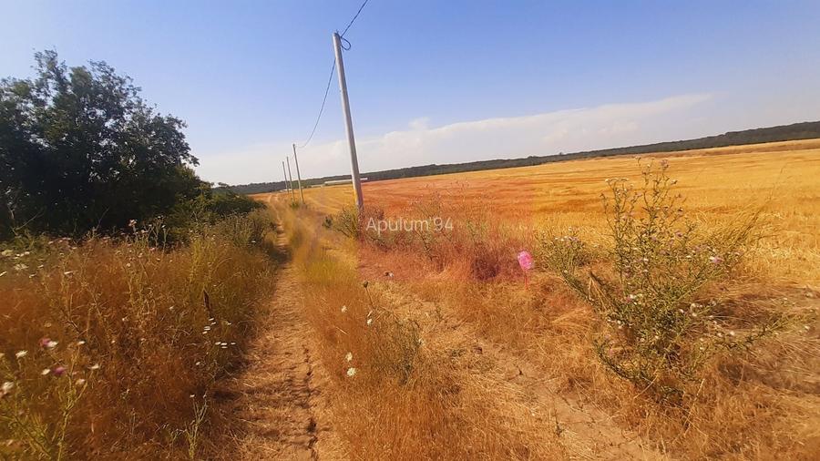 Teren pentru casă/case în Brănești pe strada Toporași - 20