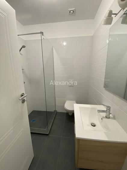 Vila de inchiriat, Pipera, direct proprietar, Vasile Alecsandri - 13