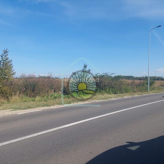 TEREN STUPINI BRASOV - 8