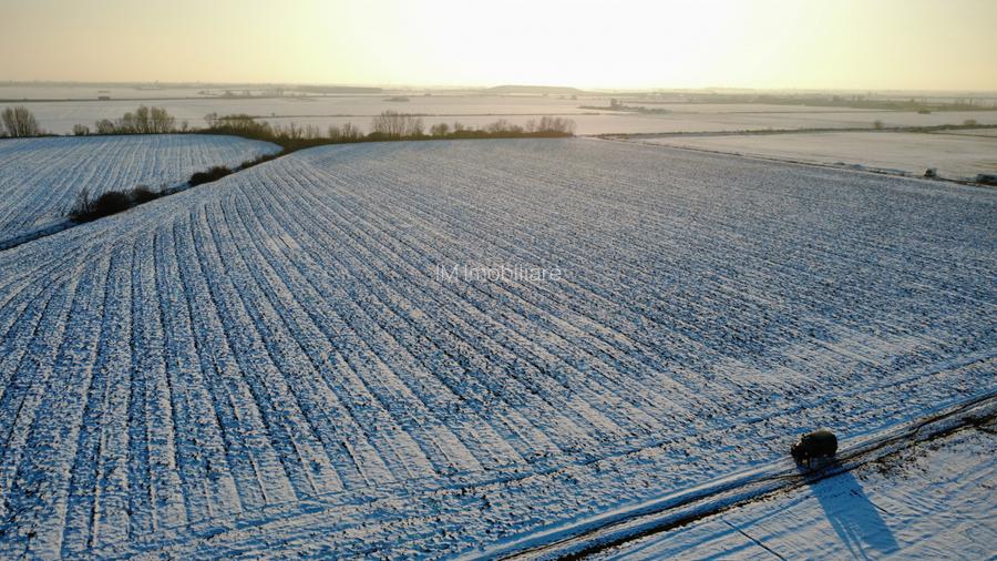 Calea Sagului-INCONTRO- teren potential industrial- 17800mp - 8