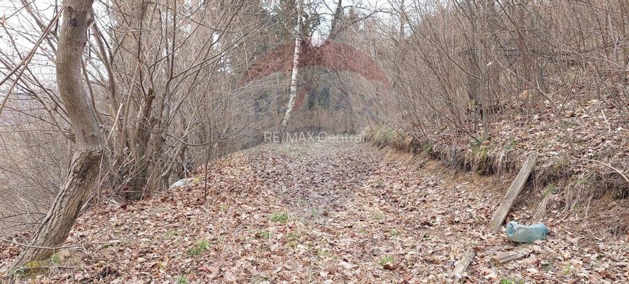 Teren de vânzare – Brașov, zona Dupa Iniste, 2710 mp - 14