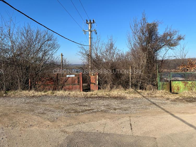 Gradistea- Ilfov, str. Nuferilor - 1000 mp - 8