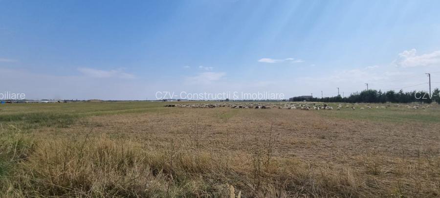 Teren Investitie - Pretabil Industrial, Logistica - 8