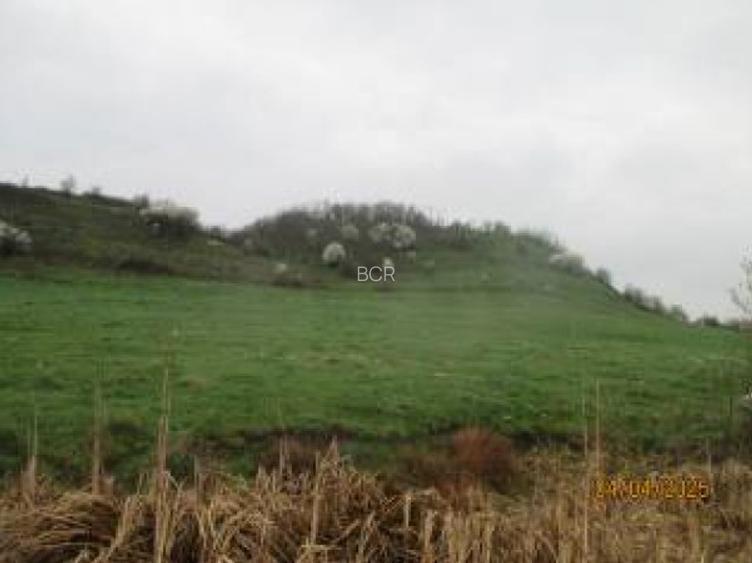 Teren extravilan 5.900 mp, BRASOV, HALCHIU - 3