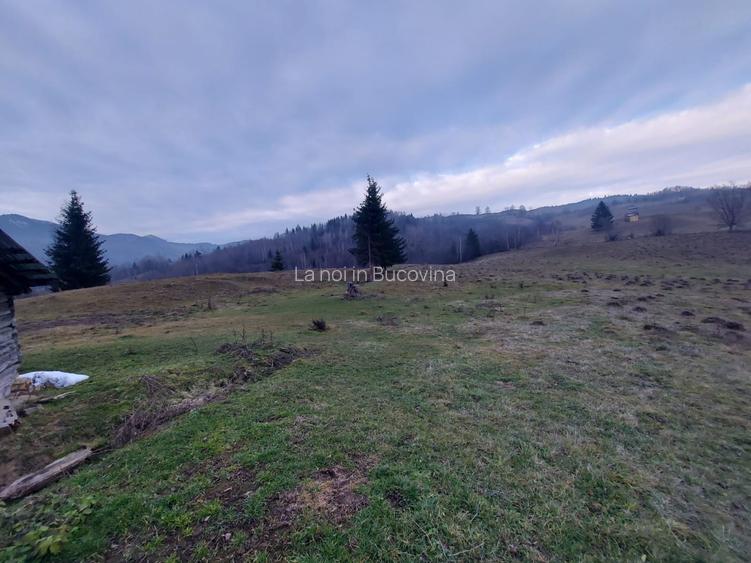 Vindem 53360 mp Bucovina - Vama - 5