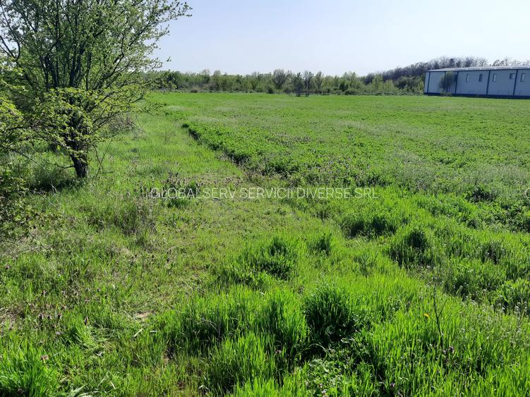 FARA COMISIOANE in Joita aproape de drumul asfaltat teren de 4600mp merita vazut - 5