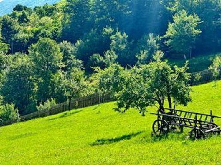 TEREN UNIC in Schei cu cabana - 7