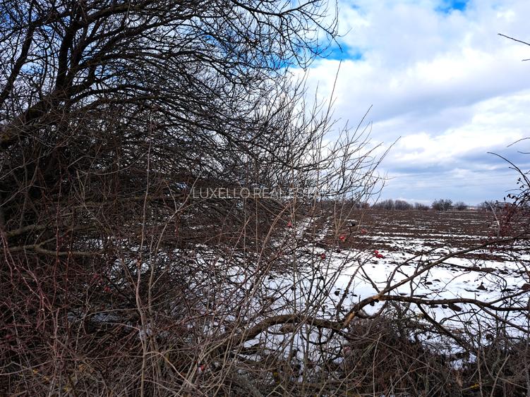 TEREN SNAGOV LANGA ARTIST THE BARN - 4