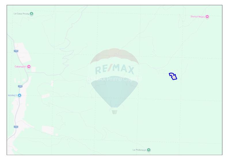 De vânzare teren intravilan 10,100 mp, cu anexă, Munteni - 3