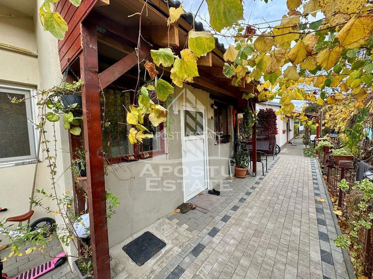 Doua apartamente la curte comuna , zona Iosefin - 2