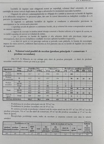 VANZARE PADURE MANECIU -CHEIA,  40HA - 9