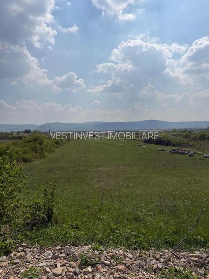 TEREN DE VANZARE IN ALESD - 2