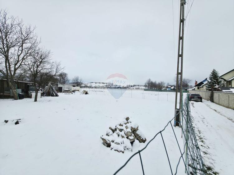 Teren 325mp Dobreni / Strada LASCAR CATARGIU - 6