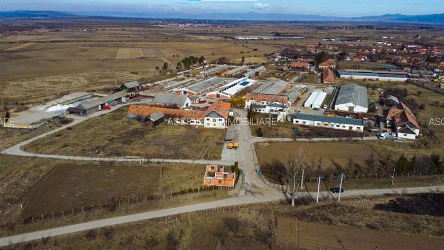 FILM! Complex agrozootehnic cu traditie, echipat + pretios potential multiplu - 40