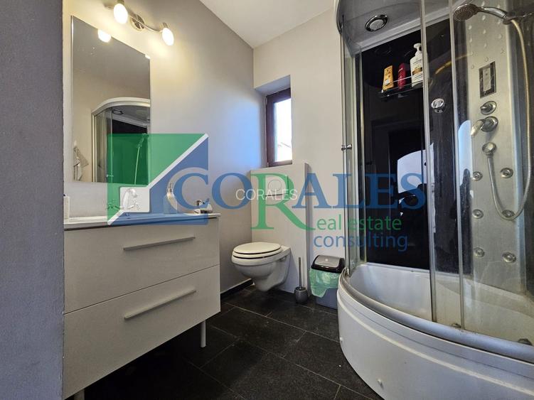 Casa individuala.  Suprafete generoase. Zona buna! - 21