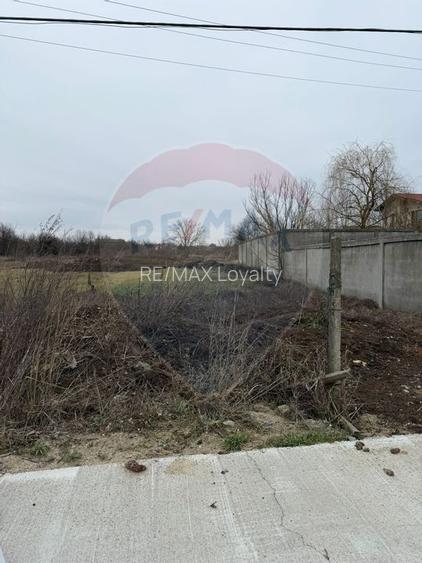 Teren 500mp Vladiceasca / None - 3