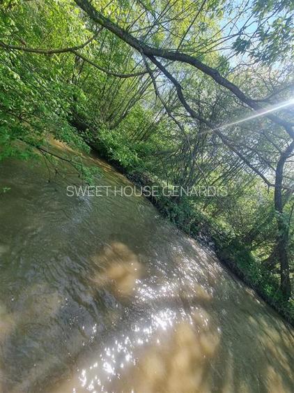 Teren valea Sebesului - 10