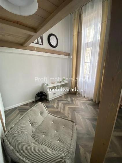 Apartament 60 Euro pe zi, amenajat in stil unic langa Primaria Arad - 6
