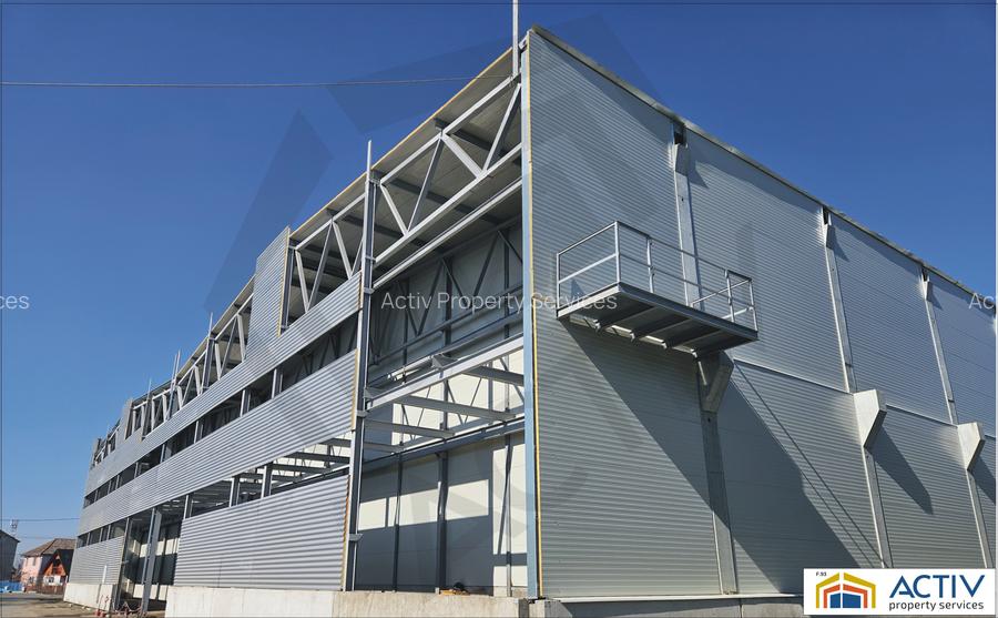 Spatiu industrial de inchiriat Vidrasau Mures - 3