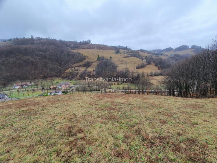 Teren Poiana Marului pretabil investitie 5 euro/mp - 5