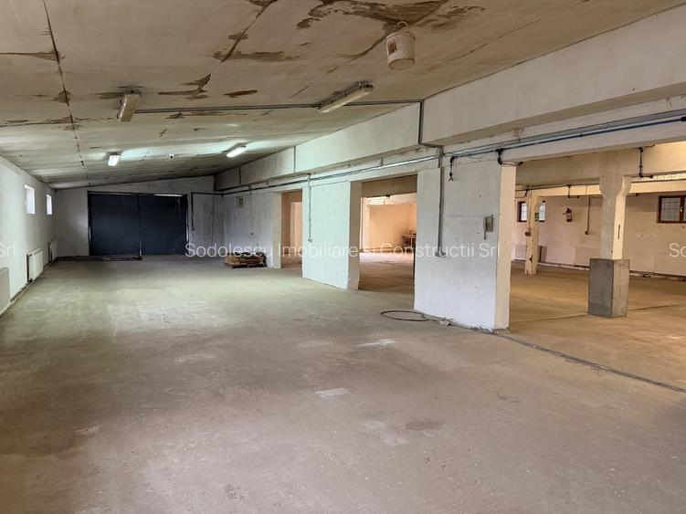 Hală industrială cu poziționare strategică în Giarmata - 16
