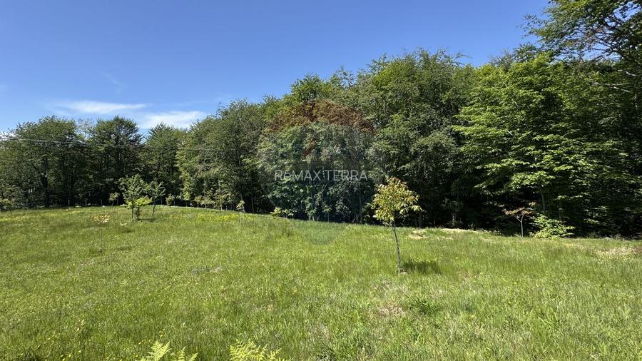 Teren intravilan de vanzare 55 600 mp Codru Butesii - 11