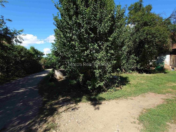 Teren intravilan cu potential, casa si anexe in Lunca - 13