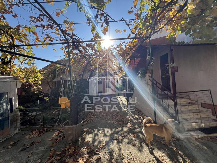 Casa individuala de vanzare, zona Complexul Studentesc Timisoara - 3
