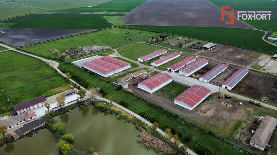 Teren intravilan cu suprafata de 58.340 mp, in Sanmartinul Sarbesc - 21