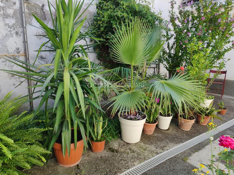 Apartament 3 camere in casa zona Central - 17