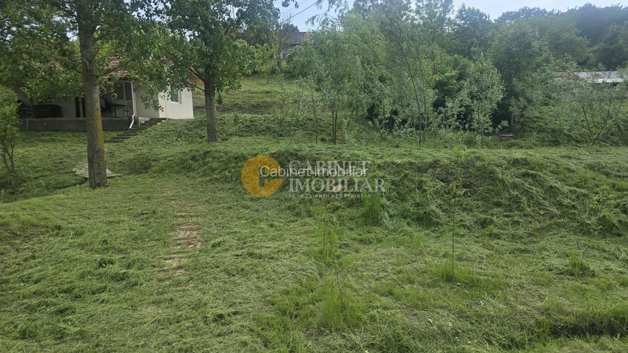 Oază de liniște și natură! Casă  cu 2 heleșteie și pârâu în curte – Probota - 8