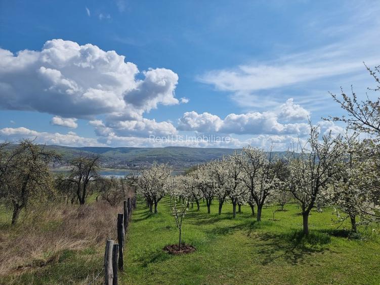 Pamant vanzare | Lac Zigoneni | Valea Lui Enache | Priveliște superba - 16