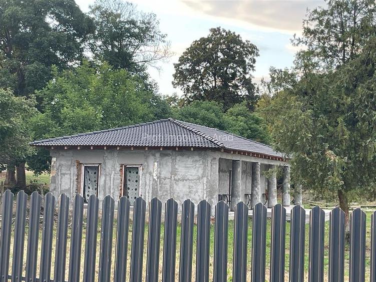 Casa in Paulis-Baratca la Parter cu deal in spate - 3